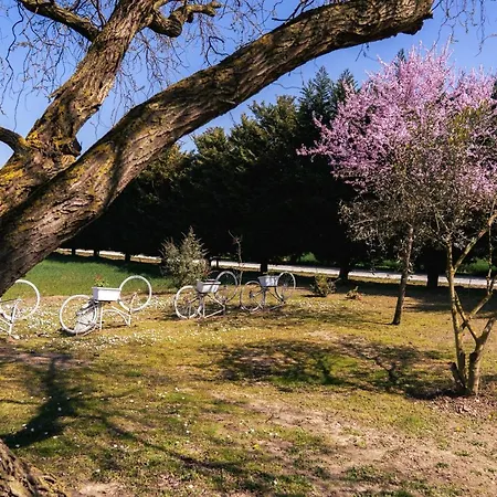 Bed and Breakfast Il Giardino Di Rebecca Φεράρα
