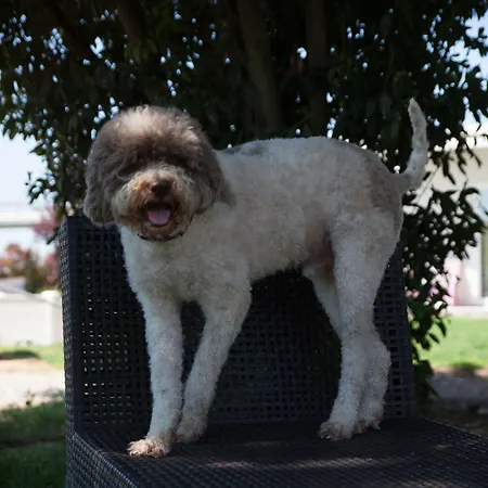 Il Giardino Di Rebecca 4* Ferrara