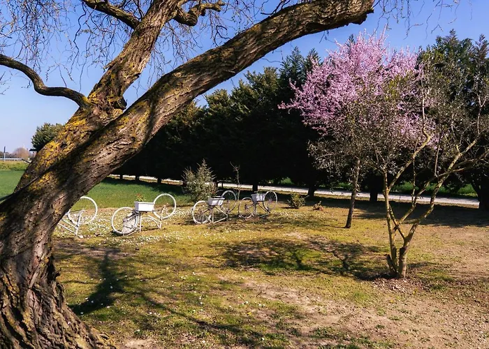 לינה וארוחת בוקר Il Giardino Di Rebecca פררה