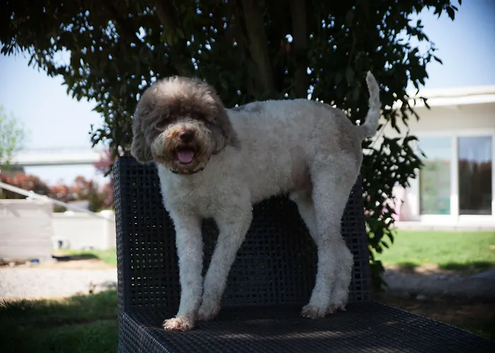 Il Giardino Di Rebecca 4* פררה